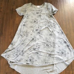 Beautiful Grey and Black Carly.